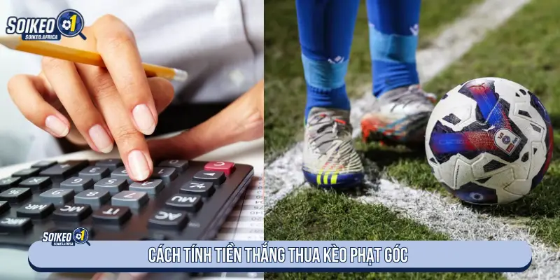 Soi Kèo Phạt Góc Là Gì? Cách Chơi Hiệu Quả Cách tính tiền thắng thua kèo phạt góc