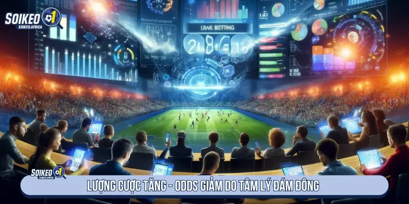 Tổng Hợp Soi Kèo Các Trận Hot Hôm Nay Lượng cược tăng - Odds giảm do tâm lý đám đông