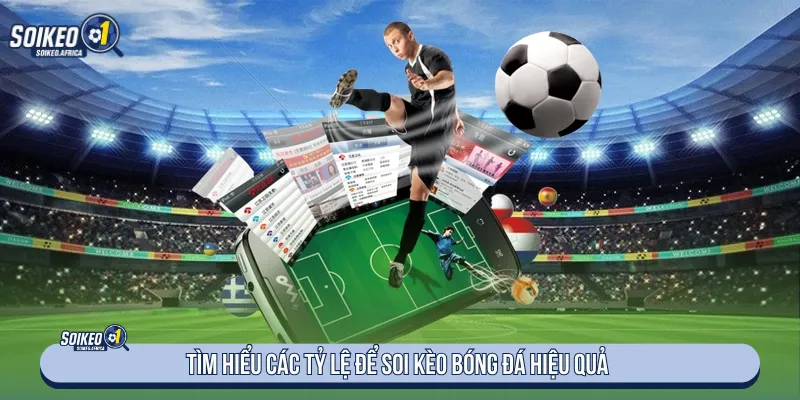 Nắm rõ loại cược để soi kèo bóng đá hiệu quả