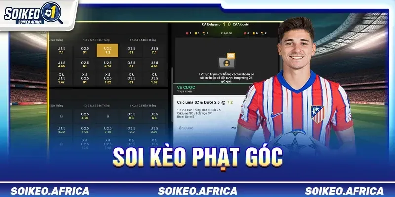soi kèo phạt góc